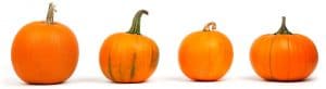 october pumpkin enzyme and newsletter