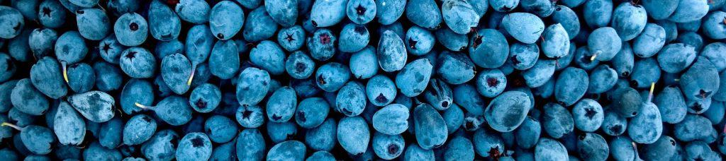 blueberry enzyme